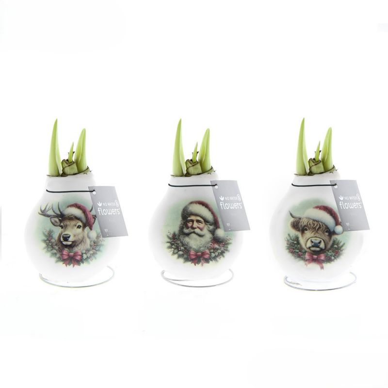 No Water Flowers® - Craftz Santa & Friends mix